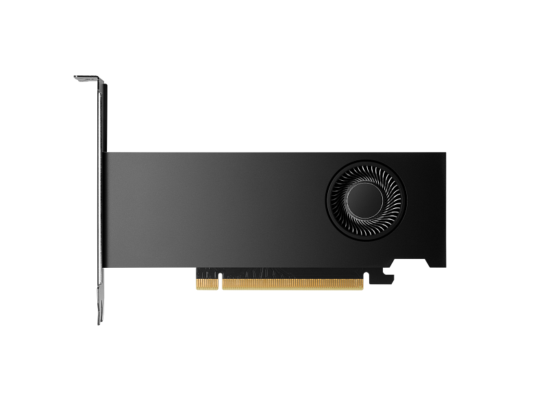 HP Nvidia RTX 2000 Ada Workstation Graphics Card, GDDR6 16 GB 128-bit Memory, 4 x Mini DP 1.4a Outputs, PCI Express 4.0, 224  GB/s Memory Bandwidth, 1 Year Warranty