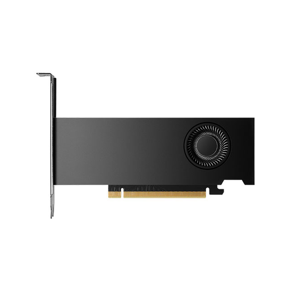 PNY Nvidia RTX 2000 Ada Workstation Graphics Card, GDDR6 16 GB 128-bit Memory, DP 1.4a Outputs, PCI Express 4.0, 224  GB/s Memory Bandwidth, 1 Year Warranty