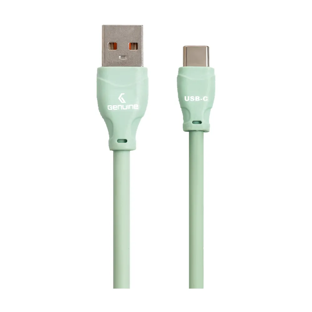 Genuine USB 2.0 - A to C Cable, Cable Length 1.5M, 100W, Green, 1 Year Warranty